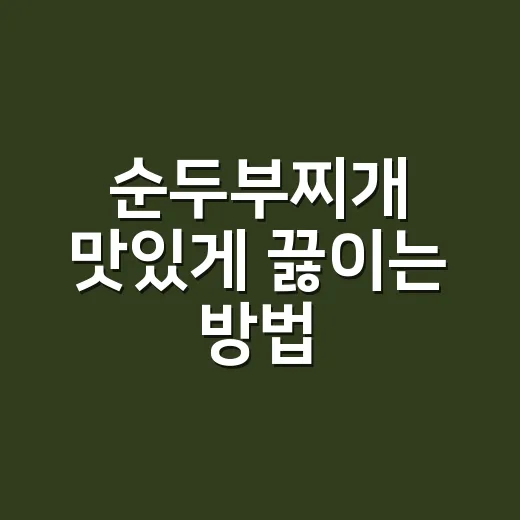 순두부찌개 맛있게 끓이는 방법, 물 양과 불 조절만 잡으면 됩니다 - 요약
