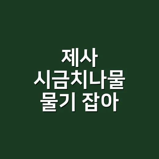 제사 시금치나물 물기 잡아 담백하게 만드는 방법 - 요약