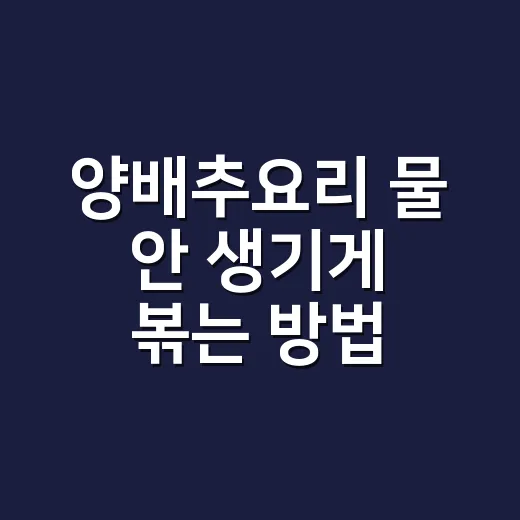 양배추요리 물 안 생기게 볶는 방법 - 요약