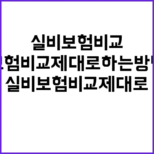 실비보험비교 제대로 하는 방법, 월 보험료보다 먼저 볼 것들 - 요약