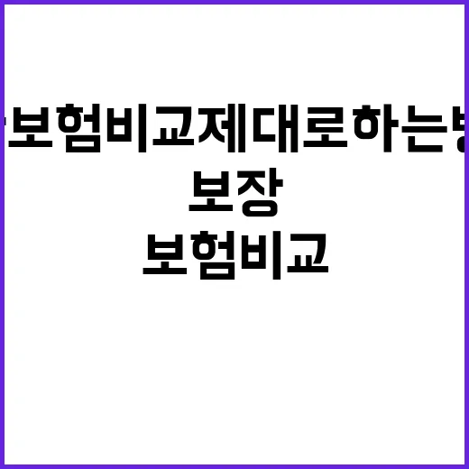치과보험비교 제대로 하는 방법, 보장 항목부터 보험료까지 쉽게 보는 법 - 요약