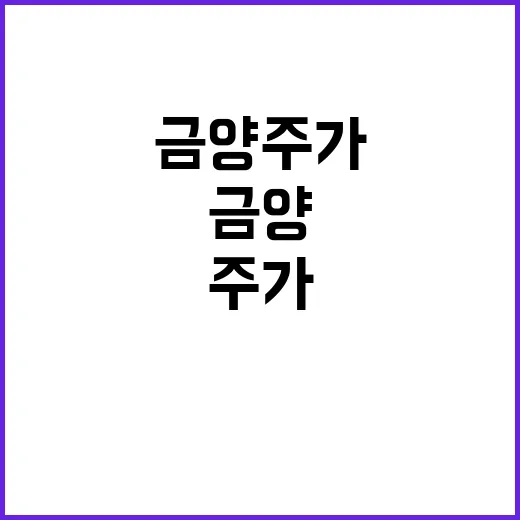 금양주가 확인하는 방법, 숫자보다 먼저 볼 포인트 - 요약