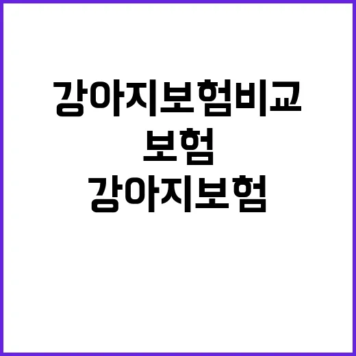 강아지보험비교 처음이라면 이렇게 고르면 덜 헷갈려요 - 요약