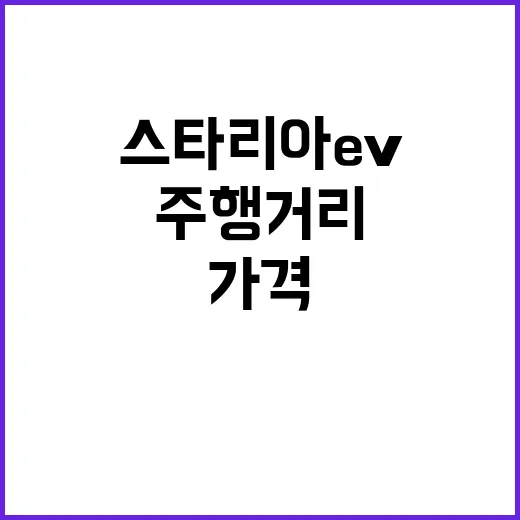 스타리아 EV 구매 전 확인하는 방법: 가격·주행거리·용도별 선택 포인트 - 요약