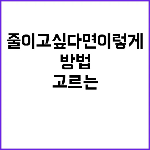 폴더폰 고르는 방법, 스마트폰 피로 줄이고 싶다면 이렇게 - 요약
