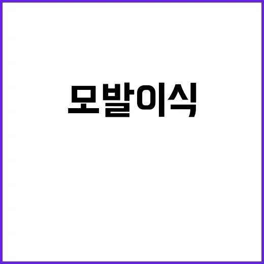 초보자를 위한 모발이식 준비 방법, 상담 전 꼭 따져볼 것들 - 요약