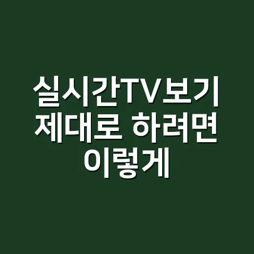 실시간TV보기 제대로 하려면 이렇게 고르면 됩니다 - 요약