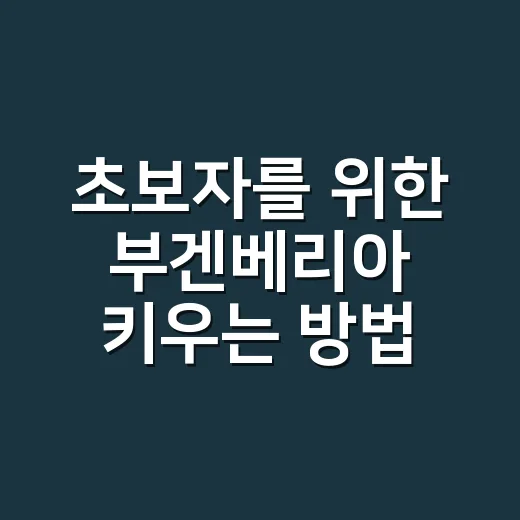 초보자를 위한 부겐베리아 키우는 방법, 꽃 오래 보려면 이렇게 - 요약