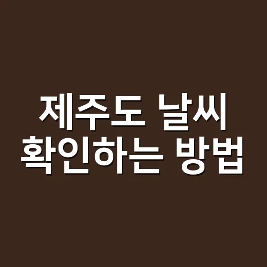 제주도 날씨 확인하는 방법, 여행 전 이렇게 준비하면 덜 당황해요 - 요약