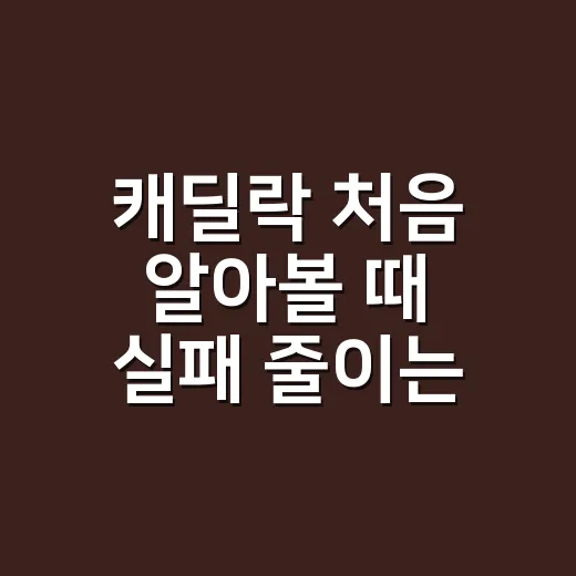 캐딜락 처음 알아볼 때 실패 줄이는 방법 - 요약