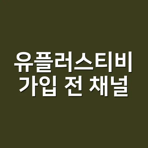 유플러스티비 가입 전 채널·셋톱박스·OTT 확인하는 방법 - 요약
