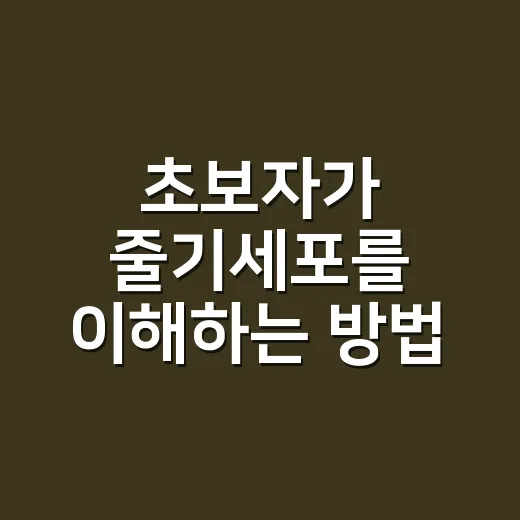 초보자가 줄기세포를 이해하는 방법: 치료 광고에 흔들리지 않으려면 이렇게 보세요 - 요약