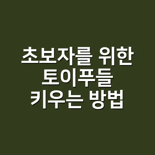 초보자를 위한 토이푸들 키우는 방법, 성격부터 관리까지 이렇게 챙기면 편해요 - 요약