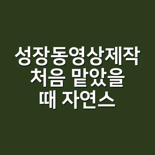 성장동영상제작 처음 맡았을 때 자연스럽게 완성하는 방법 - 요약