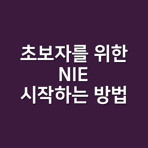 초보자를 위한 NIE 시작하는 방법: 신문 한 장으로 생각 넓히기 - 요약