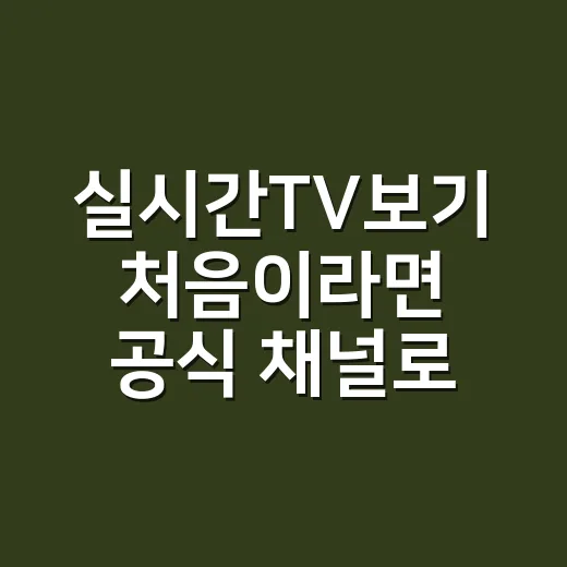 실시간TV보기 처음이라면 공식 채널로 편하게 보는 방법 - 요약