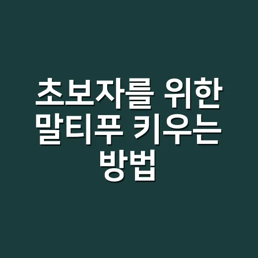 초보자를 위한 말티푸 키우는 방법, 성격부터 관리까지 이렇게 준비하세요 - 요약