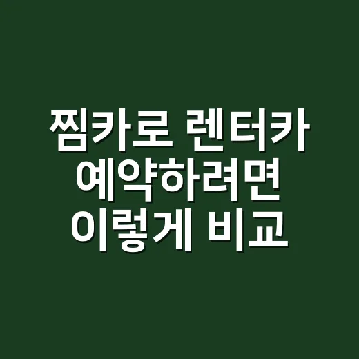 찜카로 렌터카 예약하려면 이렇게 비교하면 됩니다 - 요약