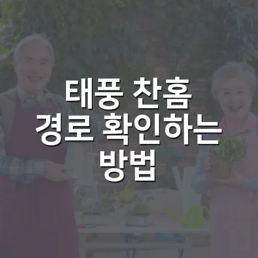 태풍 찬홈 경로 확인하는 방법, 헷갈릴 때 이렇게 보면 됩니다 - 요약