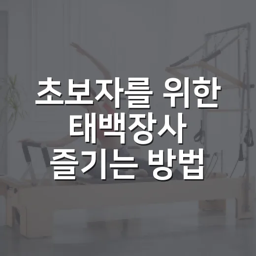 초보자를 위한 태백장사 즐기는 방법 - 요약