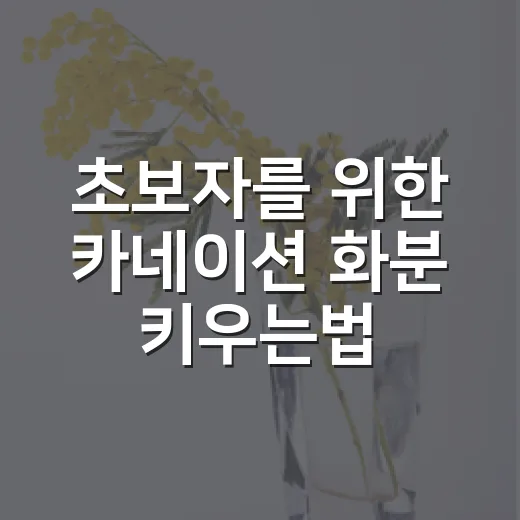 초보자를 위한 카네이션 화분 키우는법, 오래 꽃 보려면 이렇게 관리하세요 - 요약
