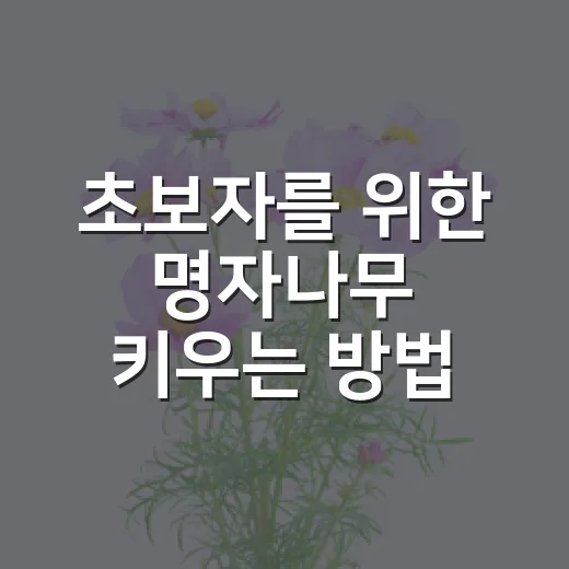 초보자를 위한 명자나무 키우는 방법, 꽃부터 열매 관리까지 이렇게 하면 됩니다 - 요약