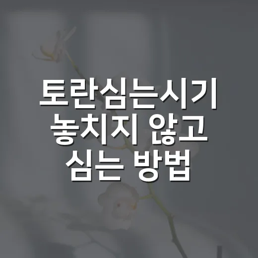 토란심는시기 놓치지 않고 심는 방법, 초보자는 이렇게 시작하세요 - 요약
