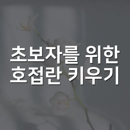 초보자를 위한 호접란 키우기, 물주기부터 꽃대 관리까지 이렇게 하면 쉬워요 - 요약