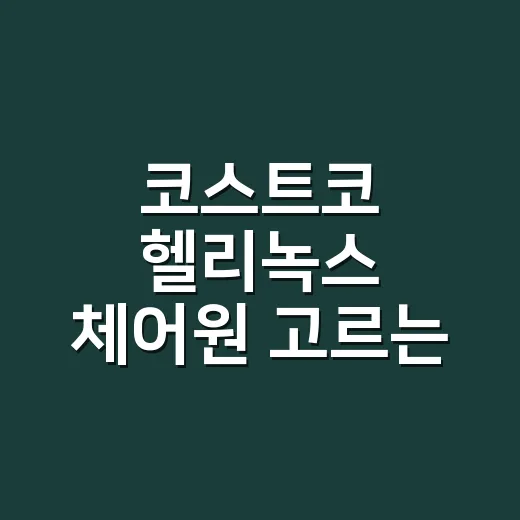 코스트코 헬리녹스 체어원 고르는 방법, 살 때 확인할 포인트 - 요약