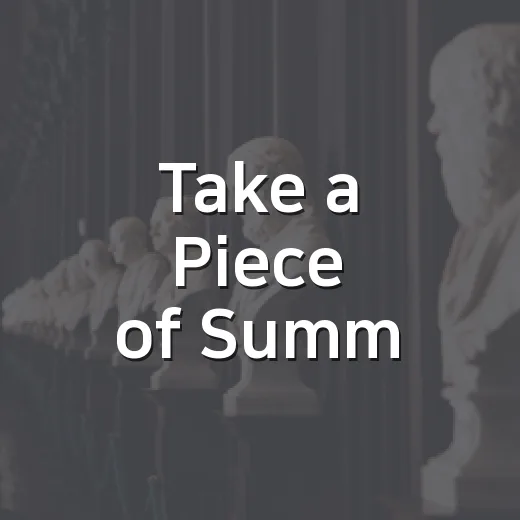 Take a Piece of Summer 여름 한 조각을 소장하는 방법 - 요약