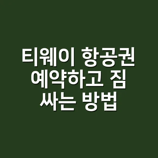 티웨이 항공권 예약하고 짐 싸는 방법, 처음 타는 사람도 헷갈리지 않게 - 요약