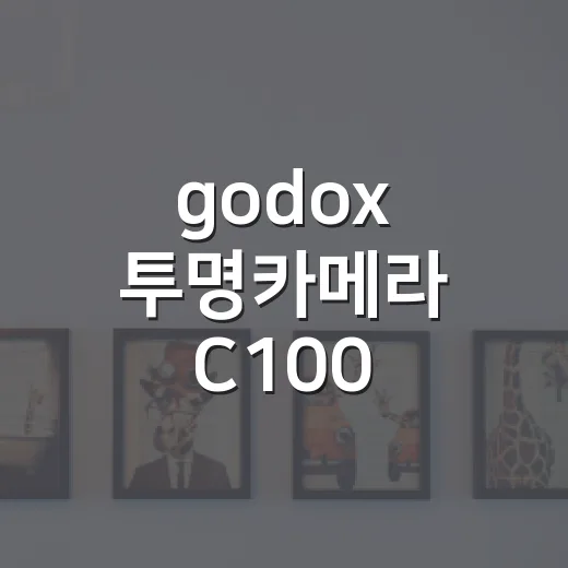 godox 투명카메라 C100 고르려면 이렇게 보면 됩니다 - 요약