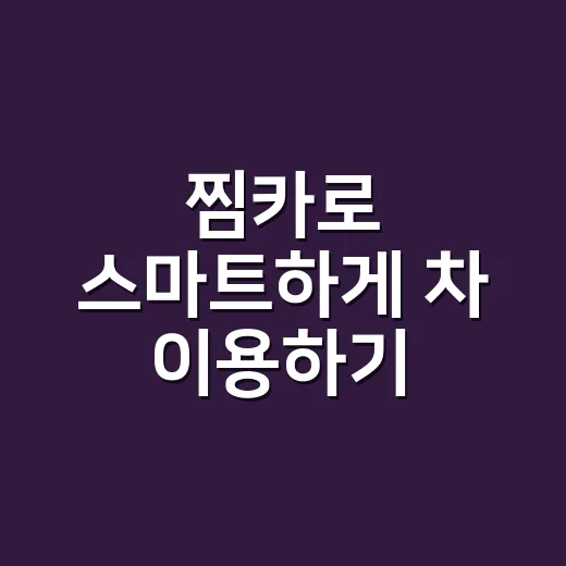 찜카로 스마트하게 차 이용하기: 알아두면 좋은 팁 - 요약
