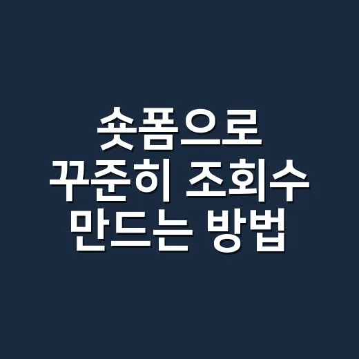 숏폼으로 꾸준히 조회수 만드는 방법 - 요약