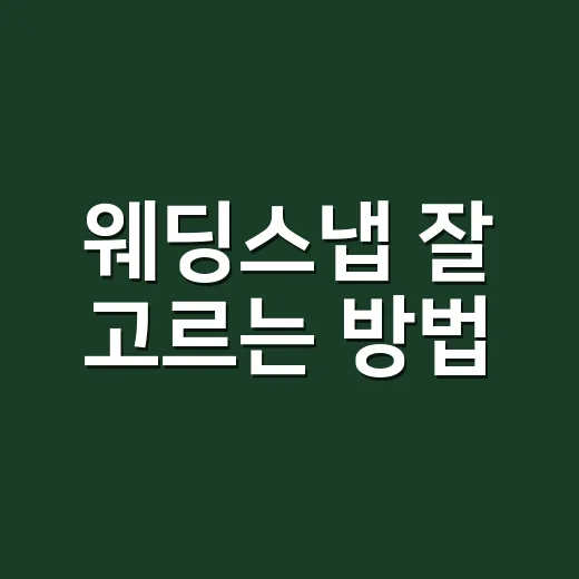 웨딩스냅 잘 고르는 방법, 초보 커플이 놓치기 쉬운 체크포인트 - 요약