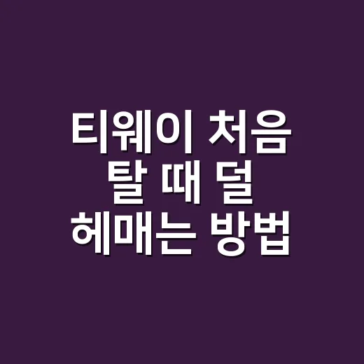 티웨이 처음 탈 때 덜 헤매는 방법, 예매부터 수하물까지 챙길 것 - 요약