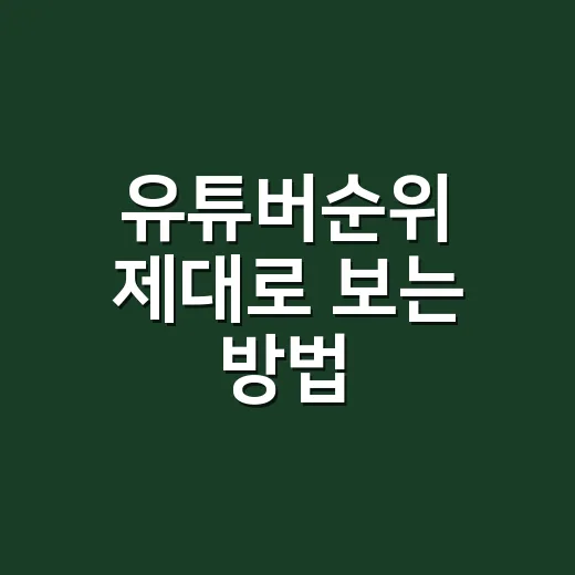 유튜버순위 제대로 보는 방법, 구독자만 보면 놓치는 것들 - 요약