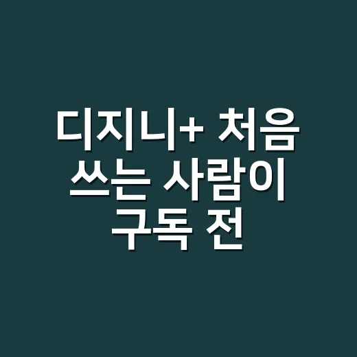 디지니+ 처음 쓰는 사람이 구독 전 확인하는 방법