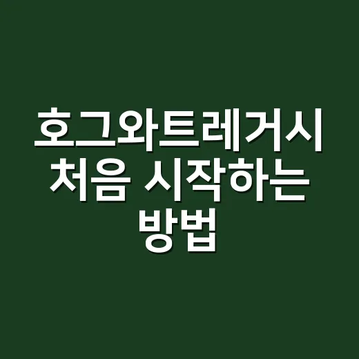 호그와트레거시 처음 시작하는 방법, 초보자가 덜 헤매는 진행 순서 - 요약