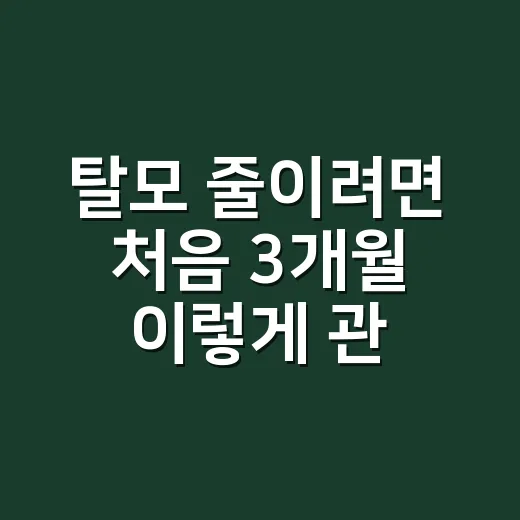 탈모 줄이려면 처음 3개월 이렇게 관리하는 방법 - 요약