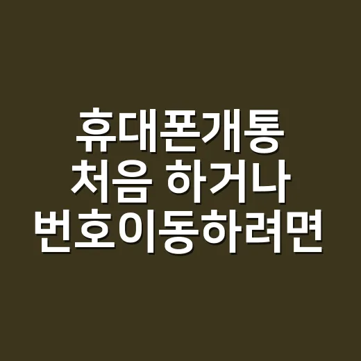 휴대폰개통 처음 하거나 번호이동하려면 이렇게 준비하세요 - 요약