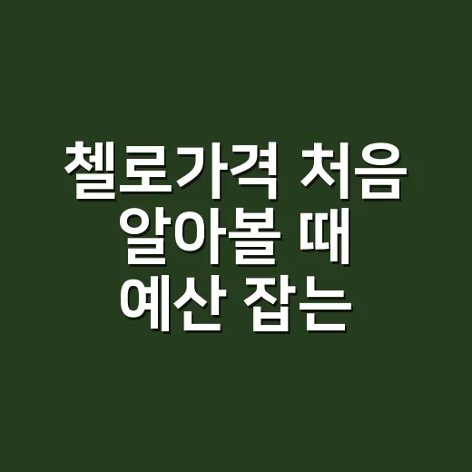 첼로가격 처음 알아…