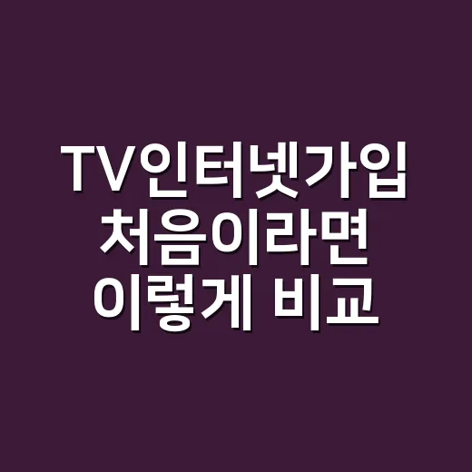 TV인터넷가입 처음…