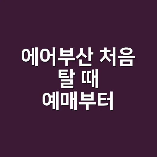 에어부산 처음 탈 때 예매부터 수하물까지 덜 헤매는 방법 - 요약