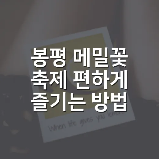 봉평 메밀꽃 축제 편하게 즐기는 방법 - 요약