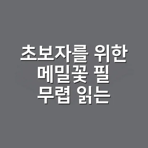 초보자를 위한 메밀꽃 필 무렵 읽는 방법, 배경부터 감상 포인트까지 - 요약