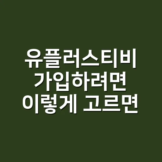 유플러스티비 가입하려면 이렇게 고르면 덜 헷갈려요 - 요약