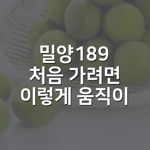 밀양189 처음 가려면 이렇게 움직이면 편합니다 - 요약