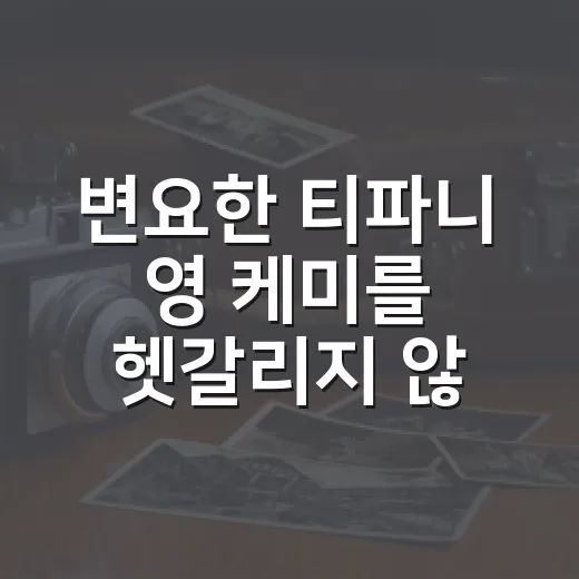 변요한 티파니 영 케미를 헷갈리지 않고 보는 방법 - 요약