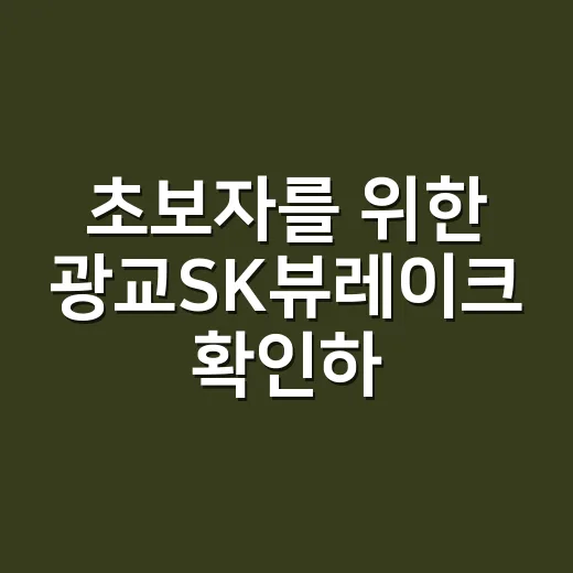 초보자를 위한 광교SK뷰레이크 확인하는 방법 - 요약